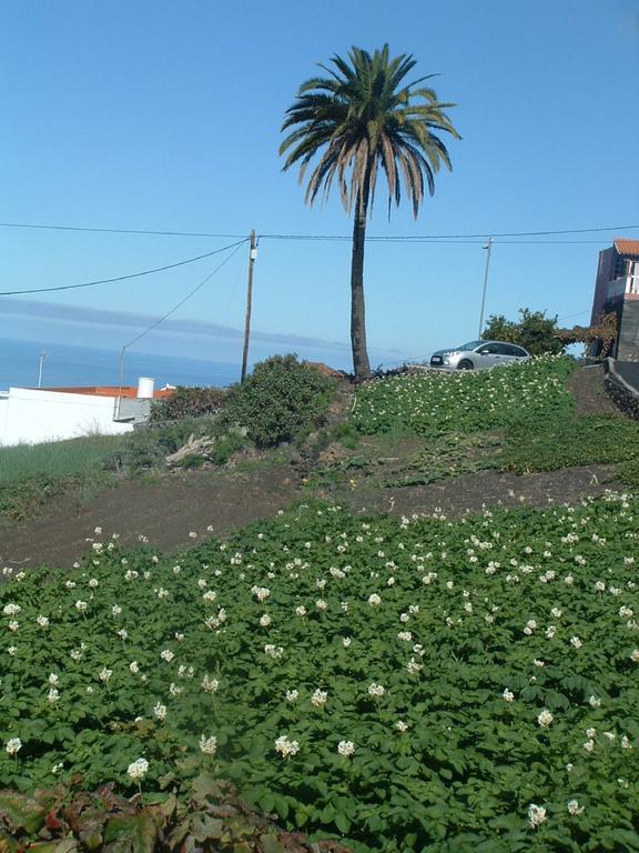 Casa Los Vinedos A Fuencaliente de la Palma Exteriör bild